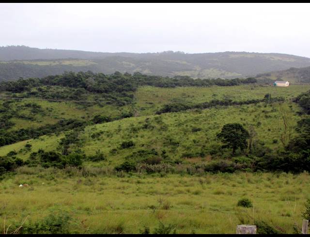 168HA FARM FOR SALE IN EAST LONDON RURAL